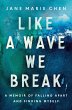 Like a Wave We Break - Bild 1