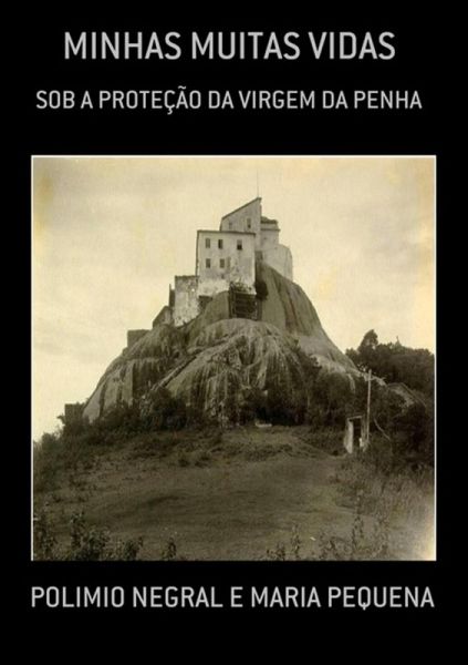 Minhas Muitas Vidas (eBook, PDF)