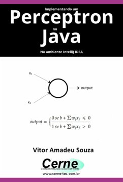 Cover Implementando Um Perceptron No Java No Ambiente Intellij Idea (eBook, PDF)