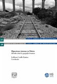 Migraciones internas en México. Miradas desde la geografía humana (eBook, ePUB)