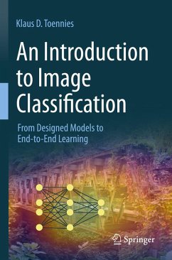 An Introduction to Image Classification - Toennies, Klaus D.