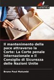 Il mantenimento della pace attraverso la Corte: La Corte penale internazionale e il Consiglio di Sicurezza delle Nazioni Unite