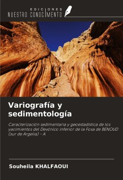 Cover Variografía y sedimentología