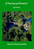 O Pantanal Mineiro! (eBook, PDF)