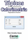 Tópicos Com Foco Computacional Em Calorimetria Programado Em Visual C# (eBook, PDF)