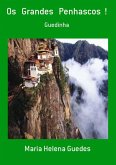 Os Grandes Penhascos ! (eBook, PDF)