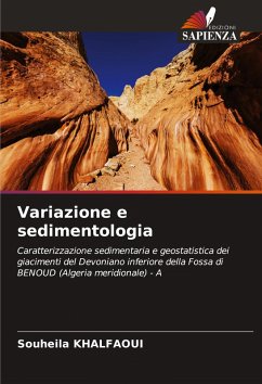 Cover Variazione e sedimentologia