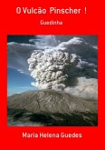 O Vulcão Pinscher ! (eBook, PDF)