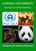 Economia E Meio Ambiente (eBook, PDF)