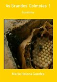 As Grandes Colmeias ! (eBook, PDF)