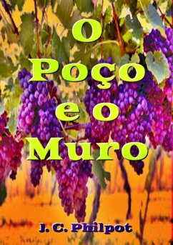 Cover O Poço E O Muro (eBook, ePUB)