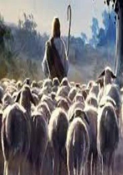 Cover Milagres De Jesus (eBook, PDF)