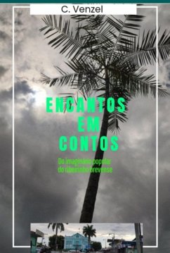 Encantos Em Contos Do Ribeirinho Brevense (eBook, PDF) Cover Encantos Em Contos Do Ribeirinho Brevense (eBook, PDF)