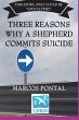 Three Reasons Why A Shepherd Commits... - Bild 1