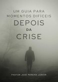 Depois Da Crise (eBook, ePUB)