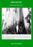 Obra Imatura (eBook, PDF)