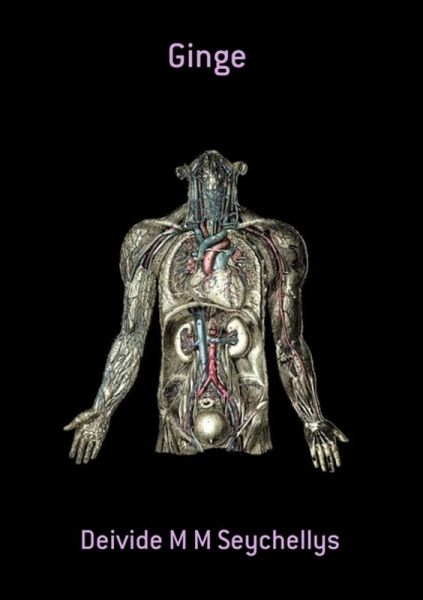 Ginge (eBook, PDF) Ginge (eBook, PDF)