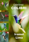 Coletânea Colibri (eBook, ePUB)