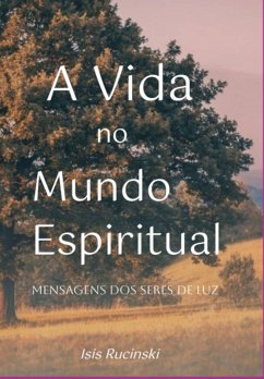 Cover A Vida No Mundo Espiritual (eBook, ePUB)