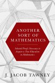 Another Sort of Mathematics (eBook, ePUB)