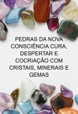 Pedras Da Nova Consciência Cura, Despertar E Cocriação Com Cristais, Minerais E Gemas (eBook, ePUB)