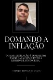 Domando A Inflação (eBook, PDF)