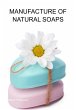 Manufacture Of Natural Soaps (eBook,... - Bild 1