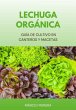 Lechuga Orgánica (eBook, ePUB) - Bild 1
