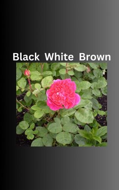 Cover Black White Brown (eBook, ePUB)