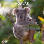 Koalas 2026 Koalas 2026