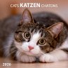 Katzen/Cats 2026 - Bild 1