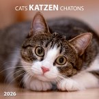 Katzen/Cats 2026 Katzen/Cats 2026
