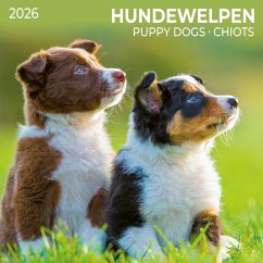 Cover Hundewelpen/Puppy Dogs 2026