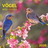 Heimische Vögel 2026 - Bild 1