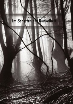 Cover Im Schatten der Dunkelheit