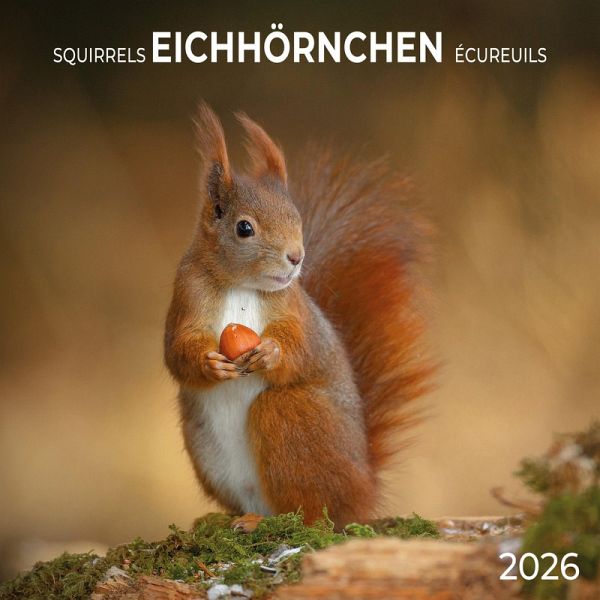 Eichhörnchen 2026