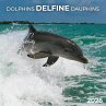 Delfine/Dolphins 2026 - Bild 1