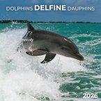 Delfine/Dolphins 2026 Delfine/Dolphins 2026