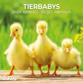 Tierbabys/Baby Animals 2026