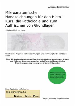 Mikroanatomische Handzeichnungen für den Histo-Kurs, die Pathologie und zum Auffrischen von Grundlagen (eBook, ePUB)