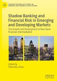 Shadow Banking and Financial Risk in Emerging and Developing Markets