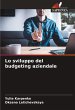 Lo sviluppo del budgeting aziendale - Bild 1