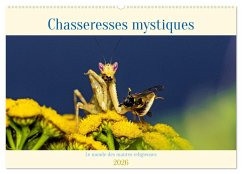 Cover Chasseresses mystiques (Calendrier mural 2026 DIN A2 vertical), CALVENDO calendrier mensuel
