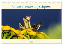 Cover Chasseresses mystiques (Calendrier mural 2026 DIN A3 vertical), CALVENDO calendrier mensuel
