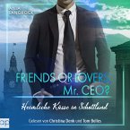 Friends or Lovers, Mr. CEO (MP3-Download)