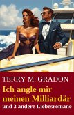 Ich angle mir meinen Milliardär und 3 andere Liebesromane (eBook, ePUB)