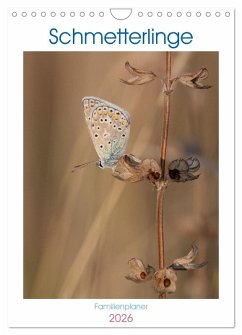 Schmetterlinge in Bayern (Wandkalender 2026 DIN A4 hoch), CALVENDO Monatskalender Schmetterlinge in Bayern (Wandkalender 2026 DIN A4 hoch), CALVENDO Monatskalender