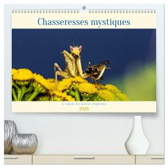 Cover Chasseresses mystiques (Calendrier mural 2026 DIN A2 vertical) calendrier de bureau