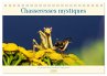 Chasseresses mystiques (Calendrier de... - Bild 1