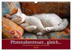 Cover Pfotenabenteuer gleich (Wandkalender 2026 DIN A3 quer), CALVENDO Monatskalender